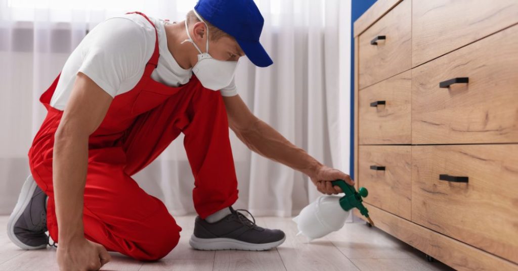 capa dedetizacao em Campos dos Goytacazes