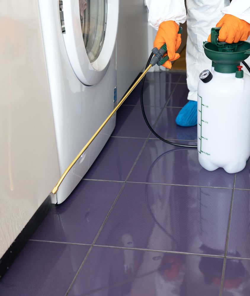 Dedetização em Campos dos Goytacazes