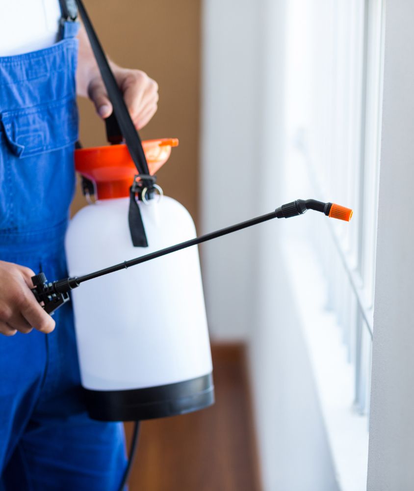 dedetizador em Campos dos Goytacazes